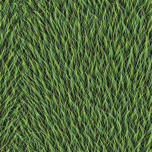 Seamless wild meadow texture