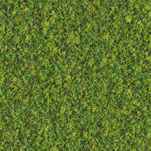 Seamless mossy grass texture