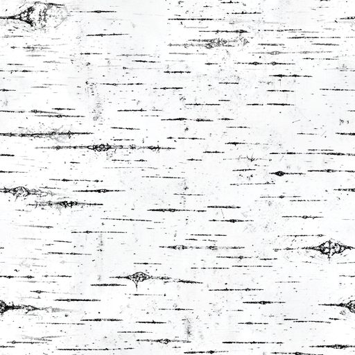 Seamless birch bark texture