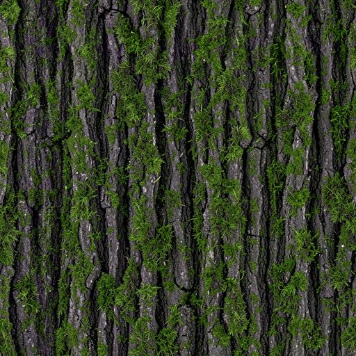 Seamless mossy bark texture